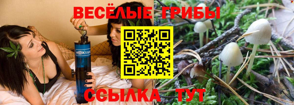 Галлюциногенные грибы мицелий Щёкино