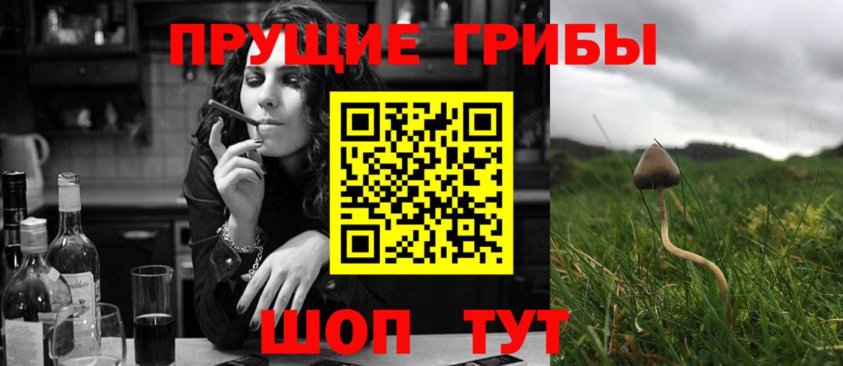 Галлюциногенные грибы GOLDEN TEACHER  Псилоцибиновые грибы мухоморы  Щёкино  Вход с VPN 